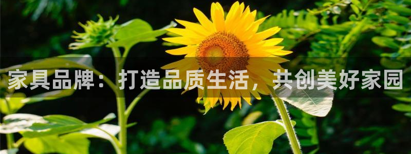 龙八国际娱乐充值