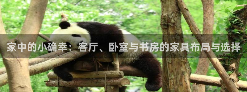 龙八国际娱乐正版：家中的小确幸：客厅、卧室与书房的家具布局与