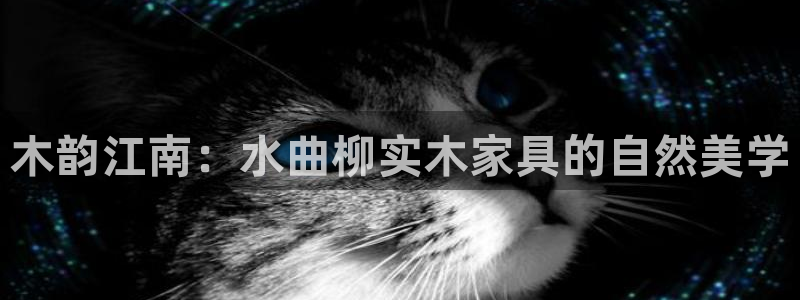 龙八国际最新官网