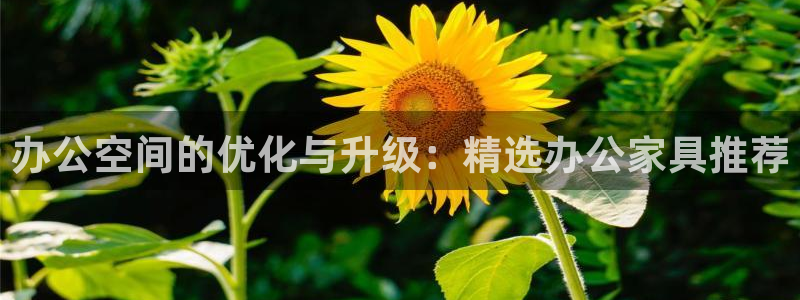 龙八国际app手机版下载苹果