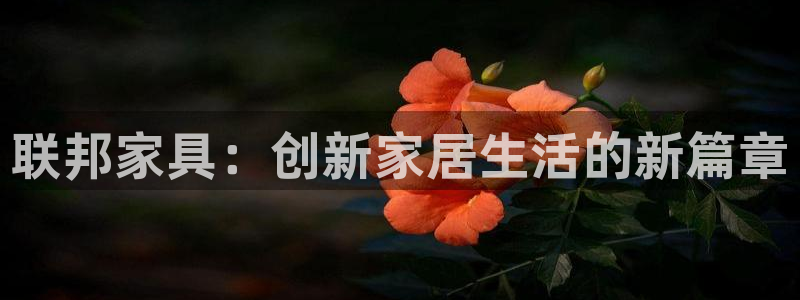 龙八国际娱乐登录