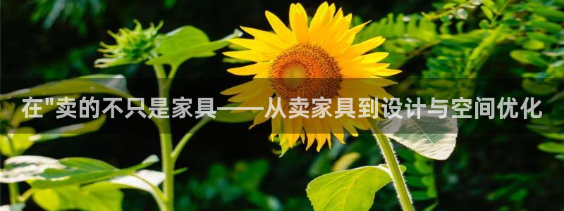 龙八国际玩什么游戏能赢