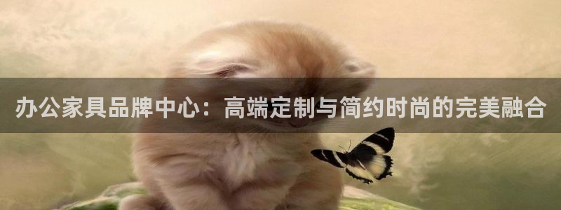 龙八国际手机版官方版app下载