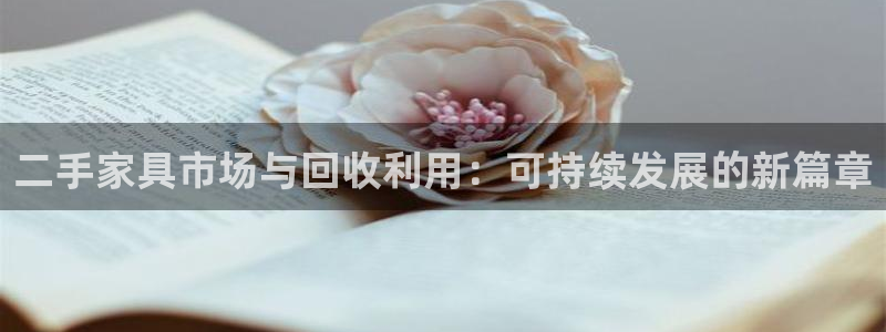 龙八国际头号玩家是谁