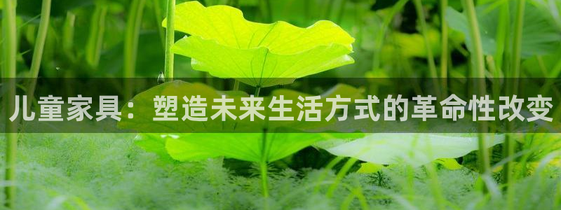 龙八国际平台首页