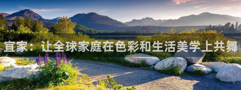 龙八国际注册f68点top