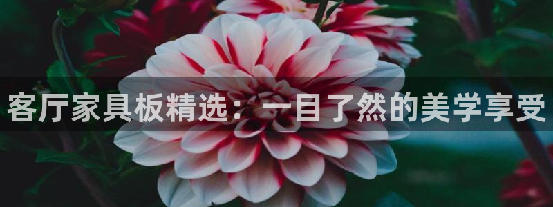 龙八国际app首页