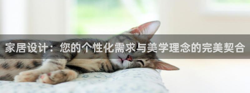 龙八国际注册f68点top