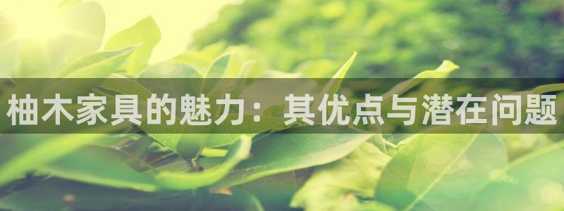 龙八国际手机版登录首页