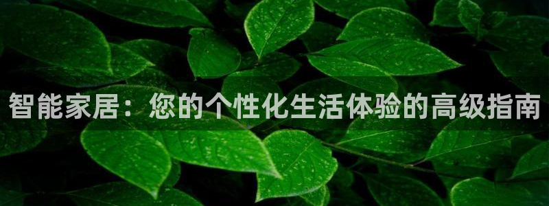 龙八国际登官网
