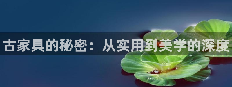 龙八国际这个平台在哪里