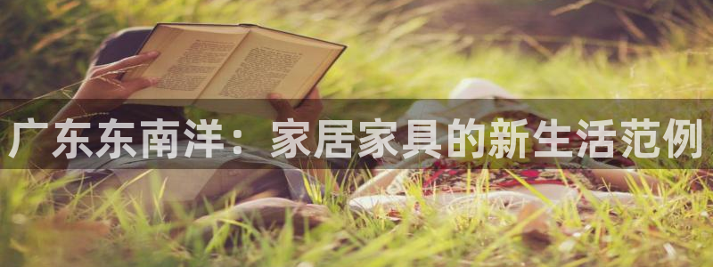 龙八国际娱乐网页多少