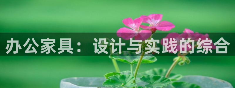 龙八国际下载链接一