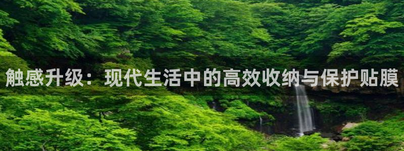 龙八国际注册f68点top