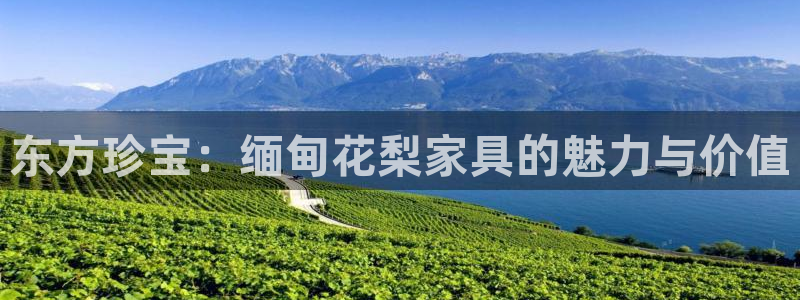 龙八国际在线登录