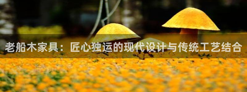 龙八国际提现待审核