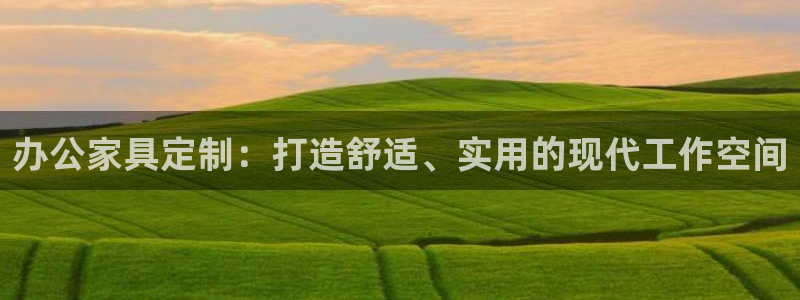 项目名称龙八国际