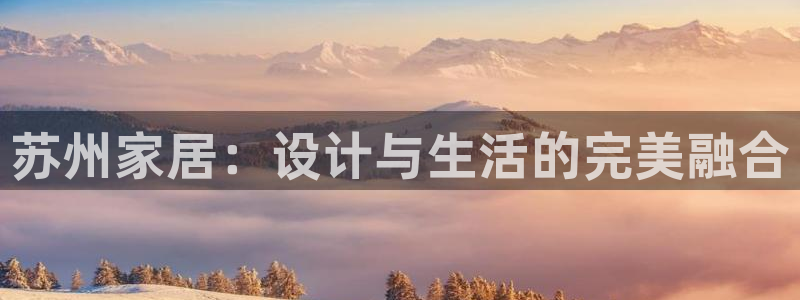 龙八国际网页版本